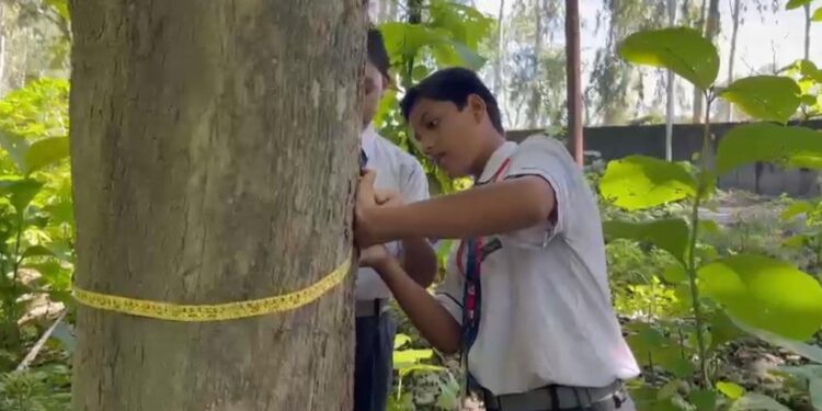 कार्बन संंग्रहण गतिविधि के साथ पर्यावरण संरक्षण के लिए किया पौधरोपण