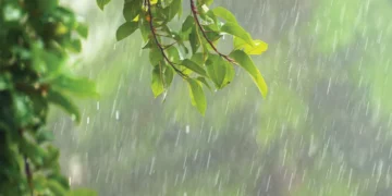 मेघ आए बन – ठन के