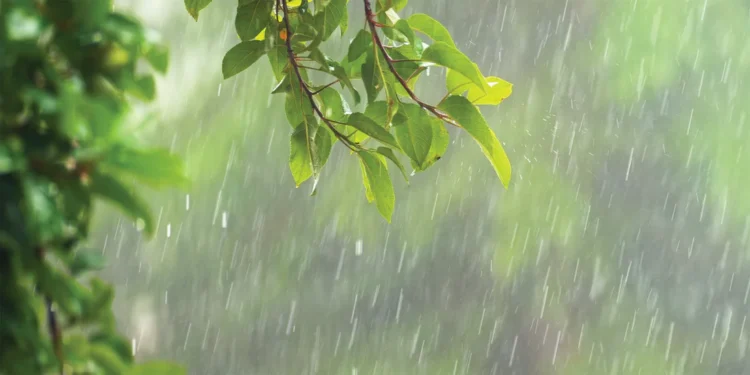 मेघ आए बन – ठन के