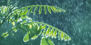 बादलों का श्रृंगार