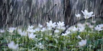 अज्ञात दिशा से आये बादल